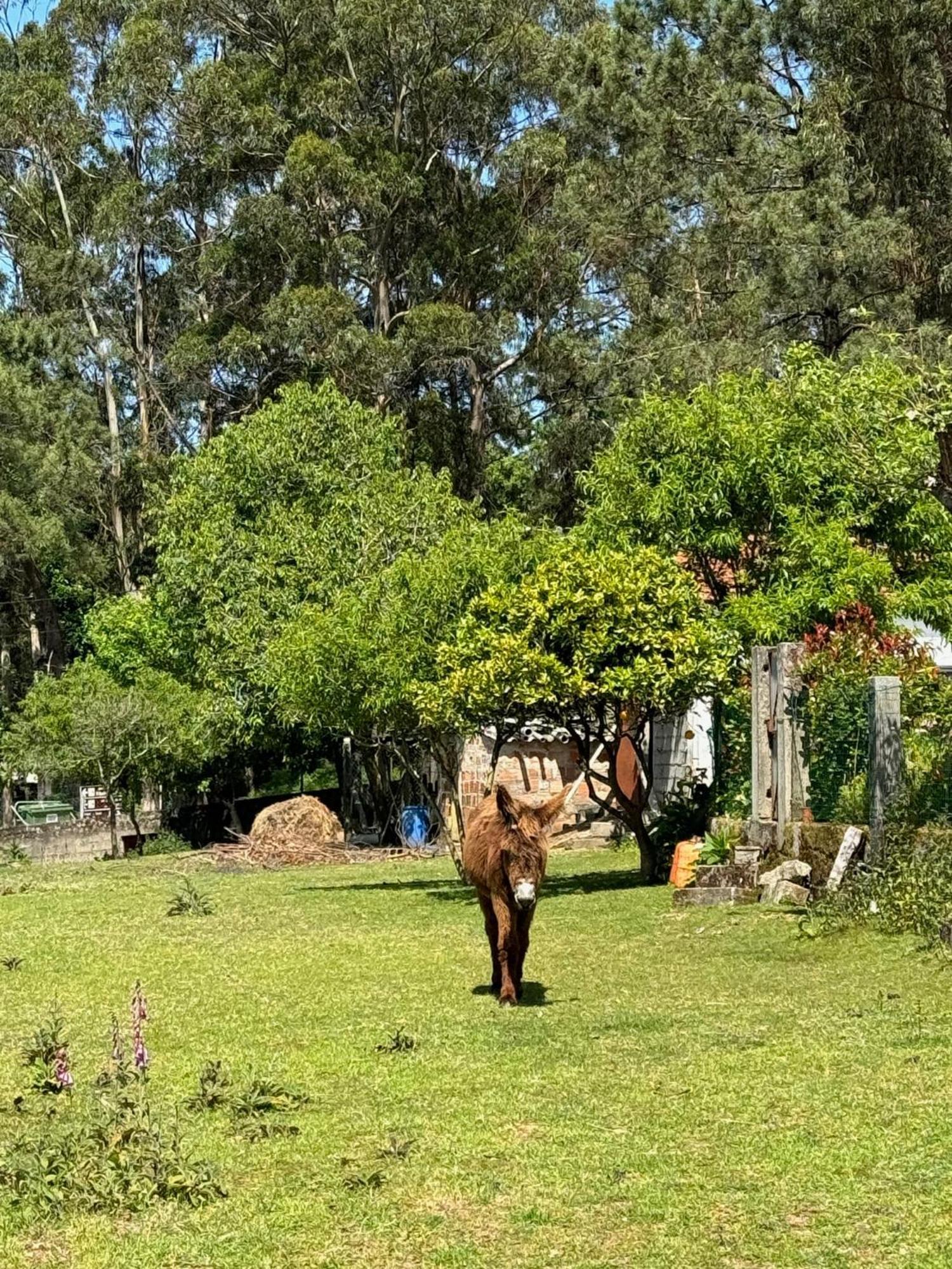 شقة Quintinha Do Martins Reboreda المظهر الخارجي الصورة